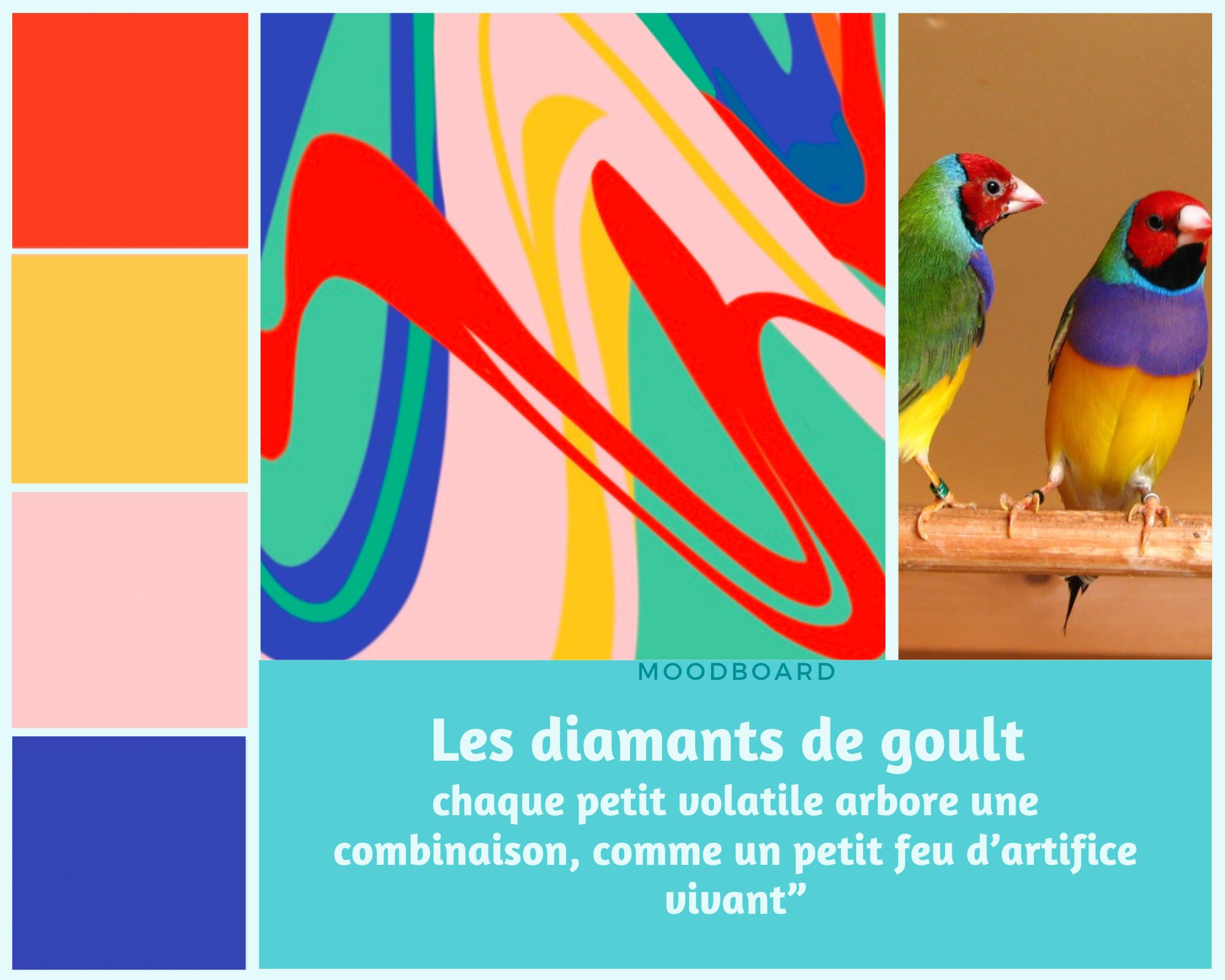 Diamant de Gould - Inspiration colorée